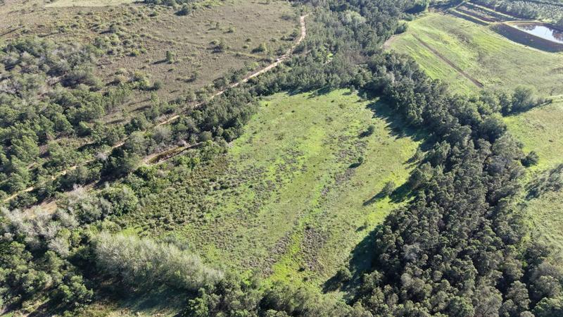 0 Bedroom Property for Sale in Albertinia Western Cape